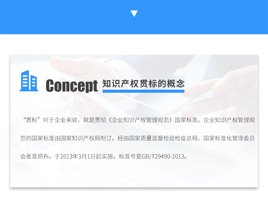 知識(shí)產(chǎn)權(quán)貫標(biāo)_06 知識(shí)產(chǎn)權(quán)貫標(biāo)_06